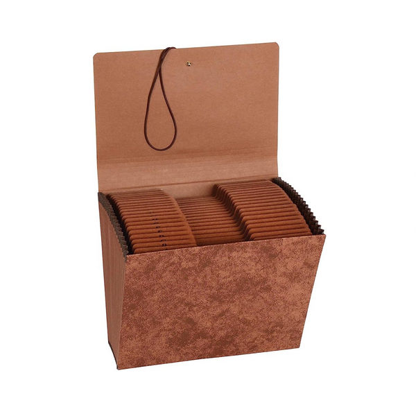 Amazon Basics Heavy Duty File Organizer (21 Pockets)