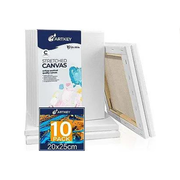 Paquete de 10 lienzos para pintar.