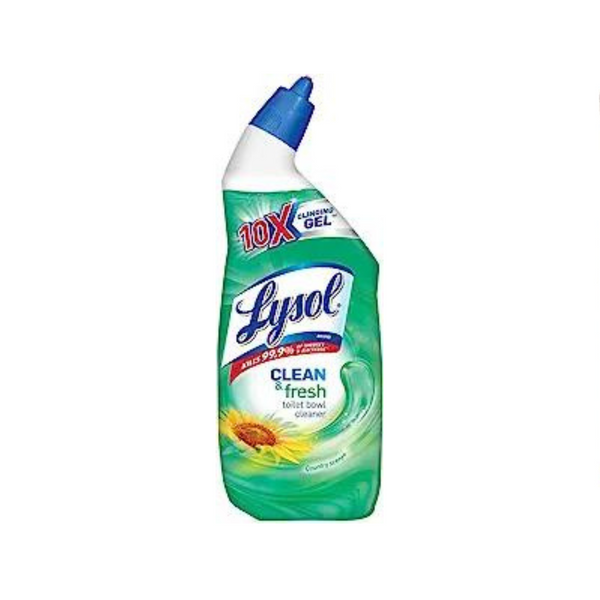 Lysol Toilet Bowl Cleaner Gel Forest Rain Scent 24oz Bottle