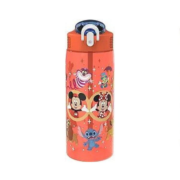 Zak Designs Disney 25 Oz Water Bottle