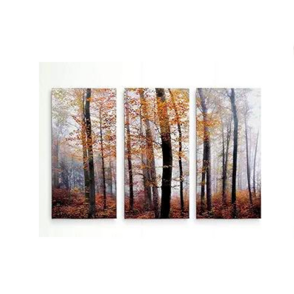 Renditions Gallery Lost in The Forest Arte de pared de 3 paneles