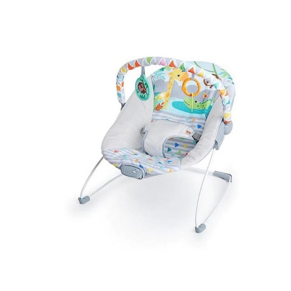 Bright Starts Baby Bouncer Soothing Vibrations Infant Sea