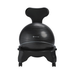 Gaiam Classic Balance Ball Chair