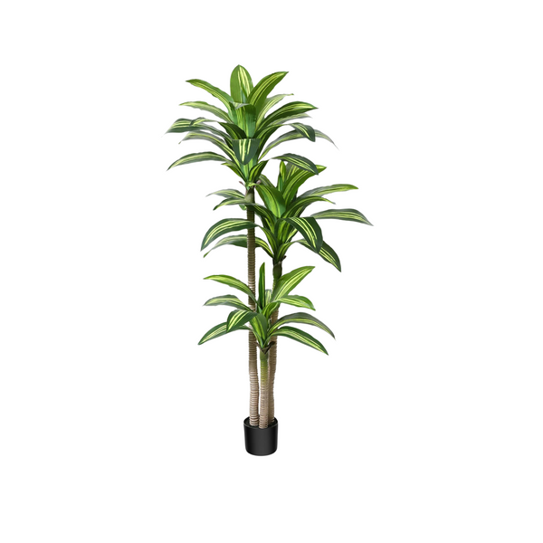 Árbol de Dracaena de 5 pies, plantas de imitación, decoración interior/exterior, árbol falso en maceta