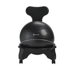 Gaiam Classic Balance Ball Chair