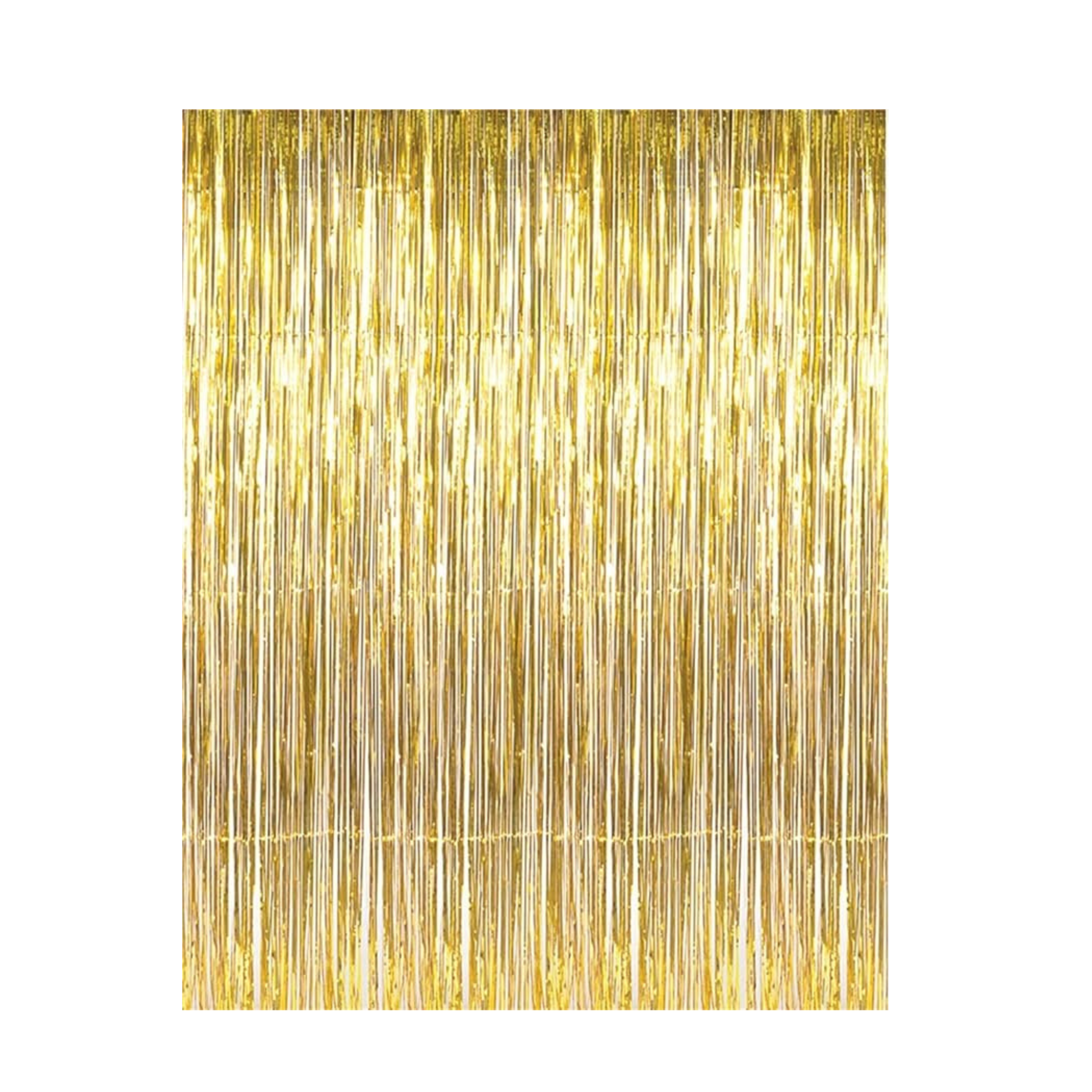 Metallic Tinsel Fringe Curtains