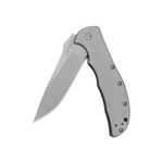 Kershaw Pocket Knives: Zing SS Assisted Open
