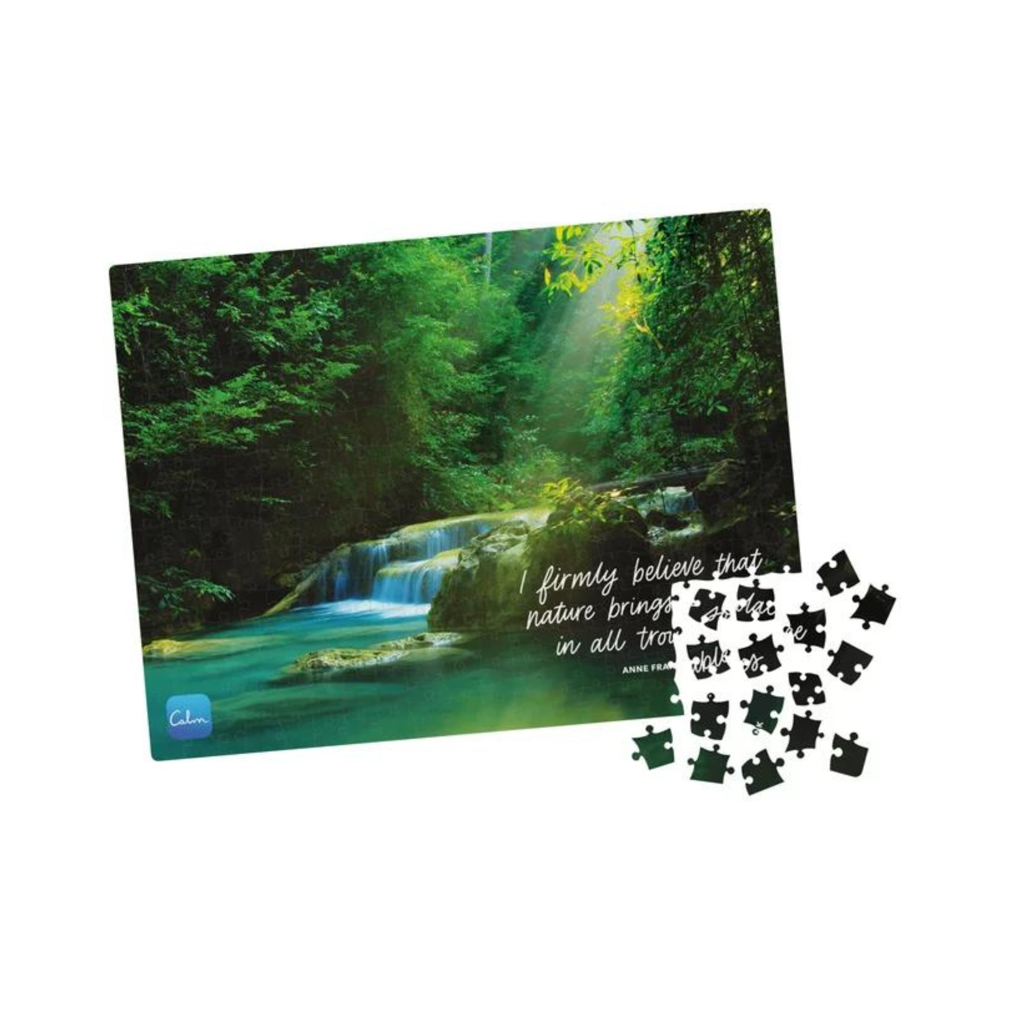 Save On 300 Pcs And 500 Pcs Puzzles (6 Styles)