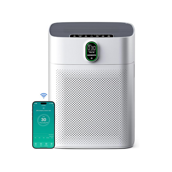 Smart Large Room Air Purifier