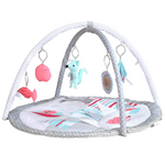 Baby Activity & Play Mat