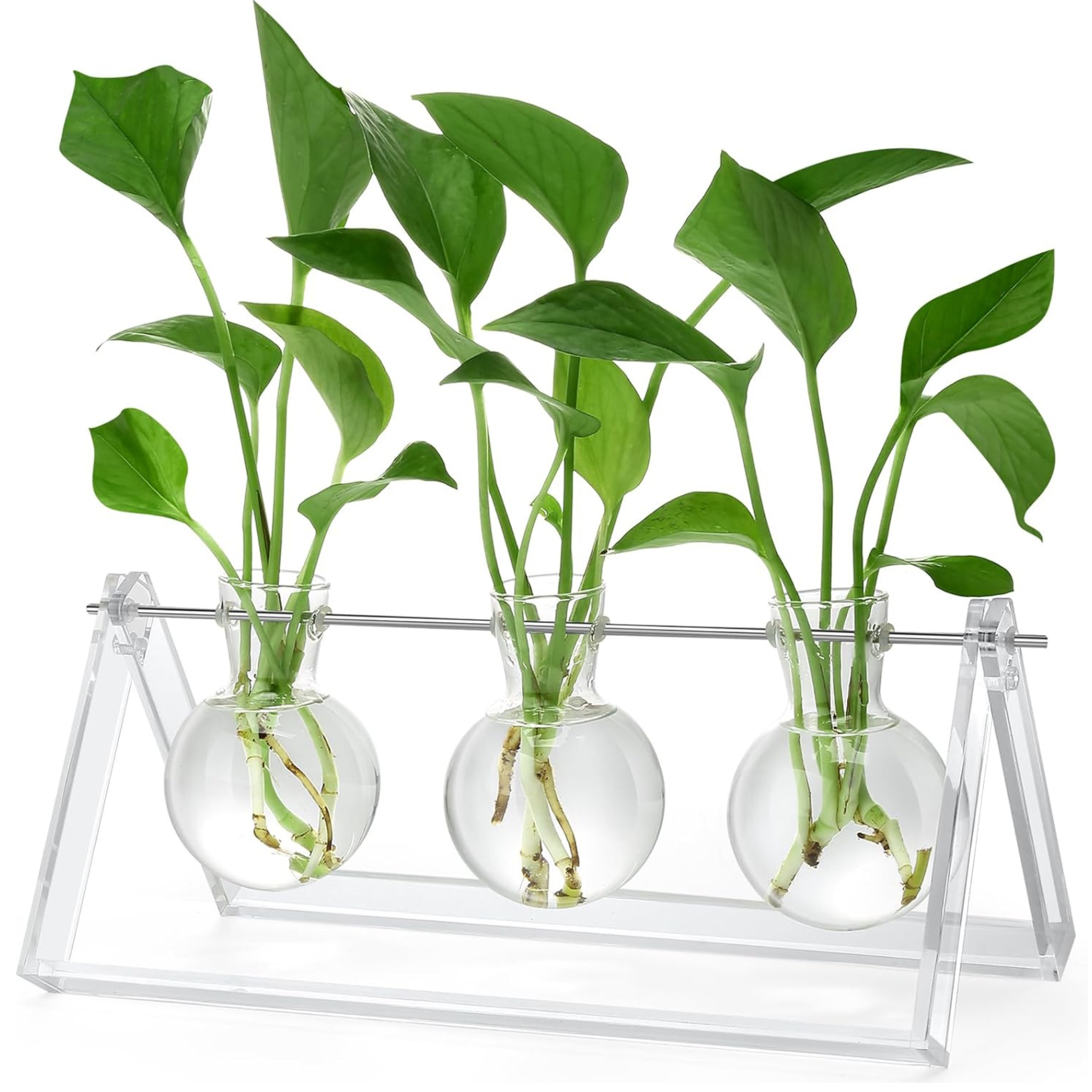 Plant Propagation Station, 3 Bulb Glass Vases