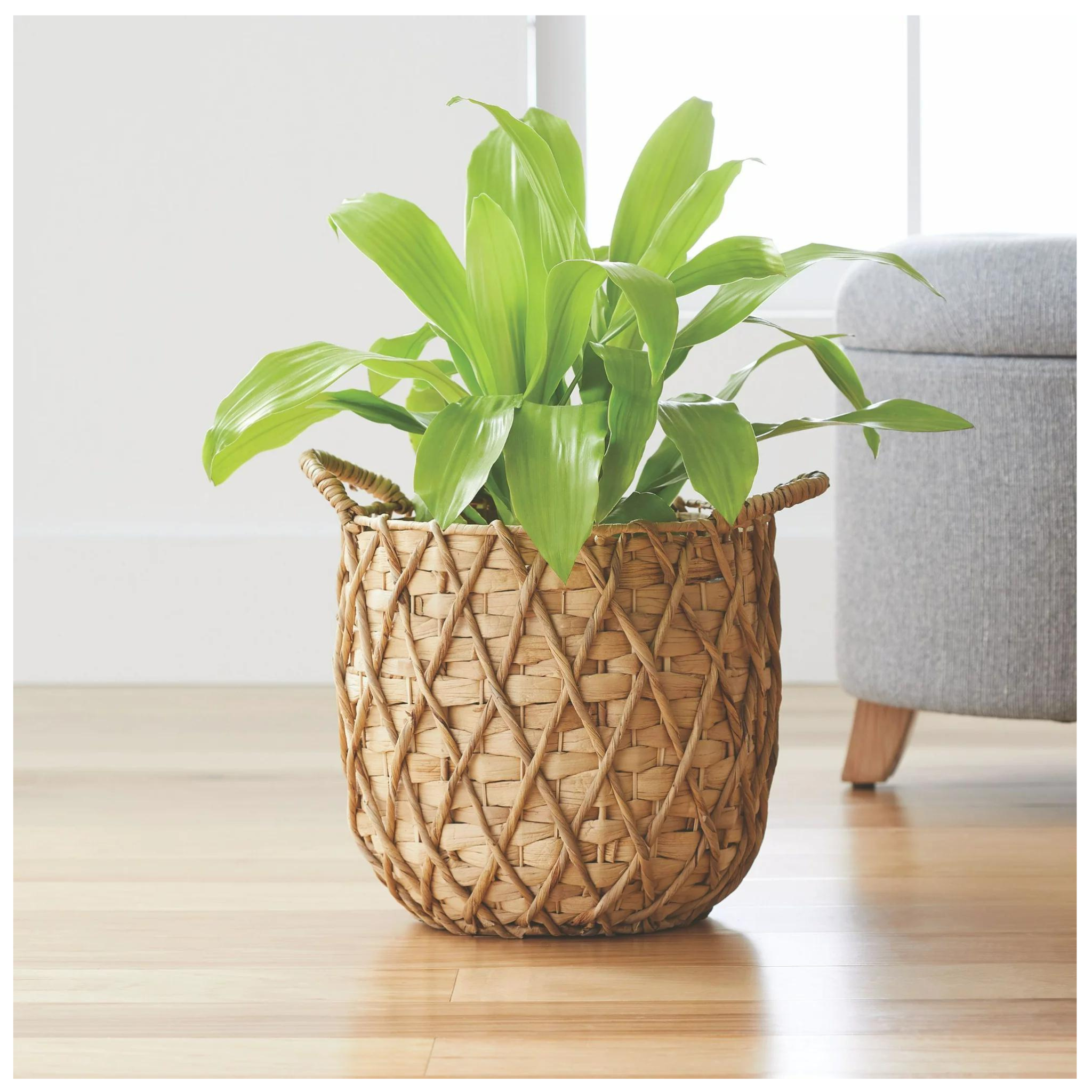 11" Better Homes & Gardens Round Natural Water Hyacinth Basket Planter