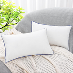 Set of 2 Throw Pillow Insert