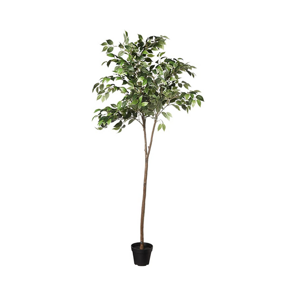 Amazon Basics Artificial Ficus Tree Fake Plant PzDeals
