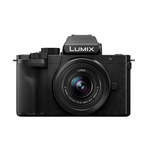 Panasonic LUMIX G100 Mirrorless Camera