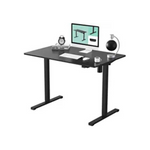 FLEXISPOT Electric Height Adjustable 48 x 24 Inch Standing Desk