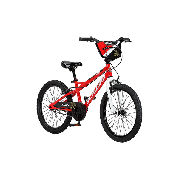Schwinn Koen & Elm 20-Inch Bike