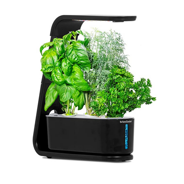 AeroGarden Sprout con kit de cápsulas de semillas de hierbas gourmet, jardín interior hidropónico