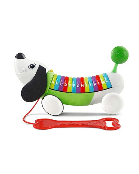 LeapFrog AlphaPup Toy (Frustration Free Packaging), Green