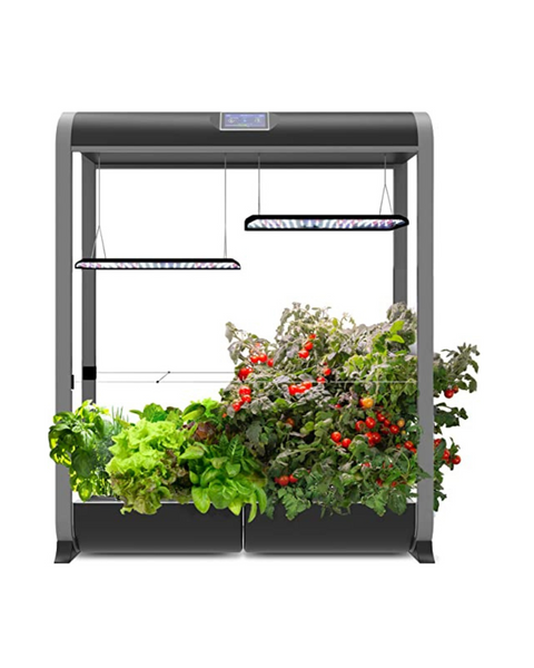 AeroGarden Farm 24XL with Salad Bar Seed Pod Kit Indoor Garden with LED Grow Light