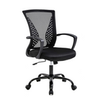 BestOffice Lumbar Support Armrest Mid Back Ergonomic Desk Chair
