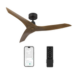 6 Speed Smart Ceiling Fan