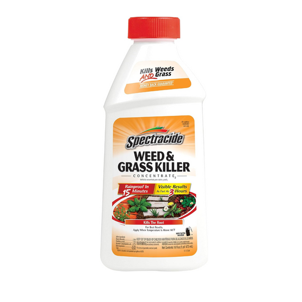 Spectracide Weed And Grass Killer Concentrate (16 Ounce)