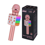 Bluetooth Karaoke Microphone Toy