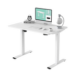 Flexispot 48" x 30" Electric Standing Desk