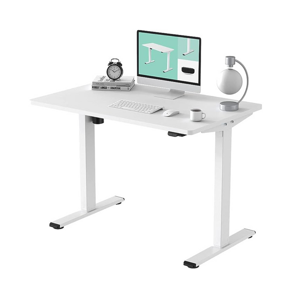 Flexispot 48" x 30" Electric Standing Desk