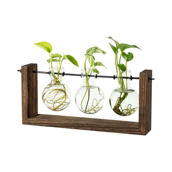 Yangbaga Plant Propagation Stations Terrarium Glass Planter