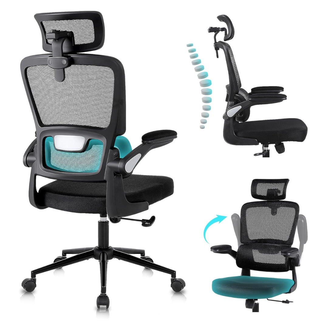 Flysky Comfortable Lumbar Support Ergonomic Office Desk Chair
