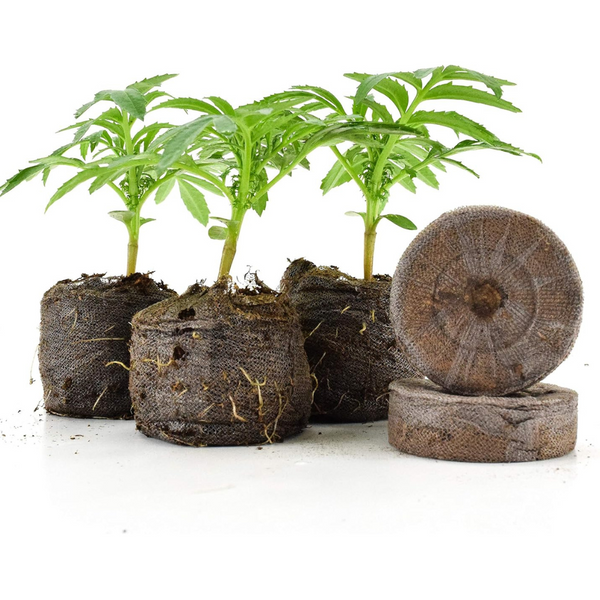 50-Count Jiffy GardenTrends Medium Pellets