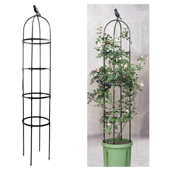 Anothera 6ft Rustproof Metal Pipe Garden Trellis for Climbing Plants