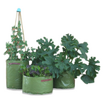 3-Pack Haxnicks Vegetable Patio Planters