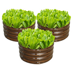 3-Pack SnugNiture 2ft x 2ft x 1ft Round Outdoor Garden Bed Kit