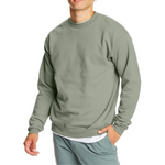 Hanes Men's Ecosmart Fleece Cotton-Blend Crewneck Sweatshirt (Various)