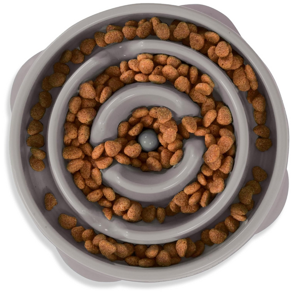 Outward Hound Fun Slow Feeder Dog Bowl