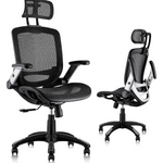 Gabrylly Ergonomic High Back Mesh Office Chair (2 Colors)