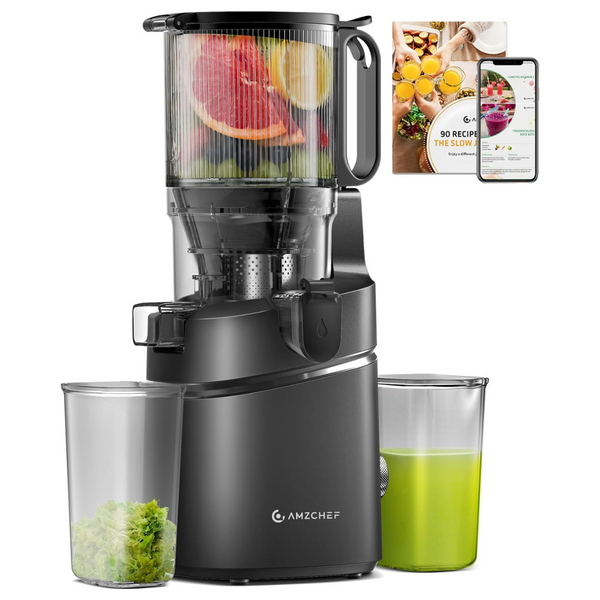 AMZCHEF 250W 5.3" Self-Feeding Masticating Electric Juicer Machines