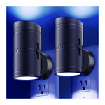 2-Pack Fesnne Night Lights Plug Into Wall With Dusk To Dawn Sensor