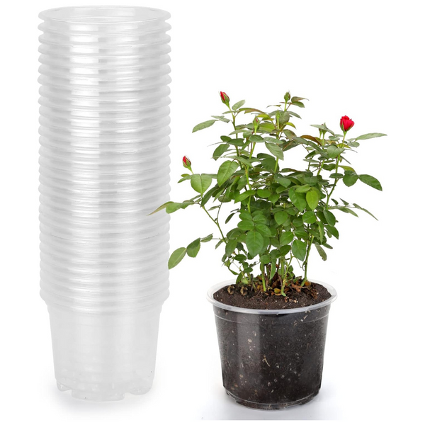 30 Pack Clear, Reusable Plastic Pots