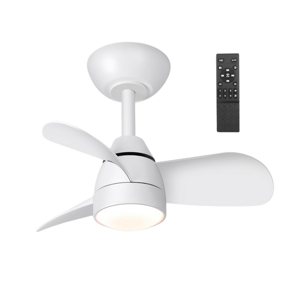22" Flush Mount Ceiling Fan With Lights And Remote