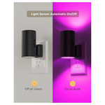 2-Pack Vintage Style Night Light Wall Plug Home Decor
