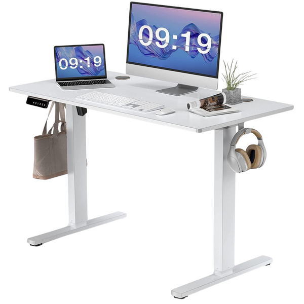 SMUG 55 x 24 In Electric Height Adjustable Computer Desk