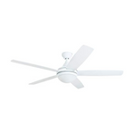 Prominence Home 80094-01 Ashby Ceiling Fan With Remote Control