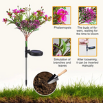 2-Set Solar Phalaenopsis Garden Decor Lights