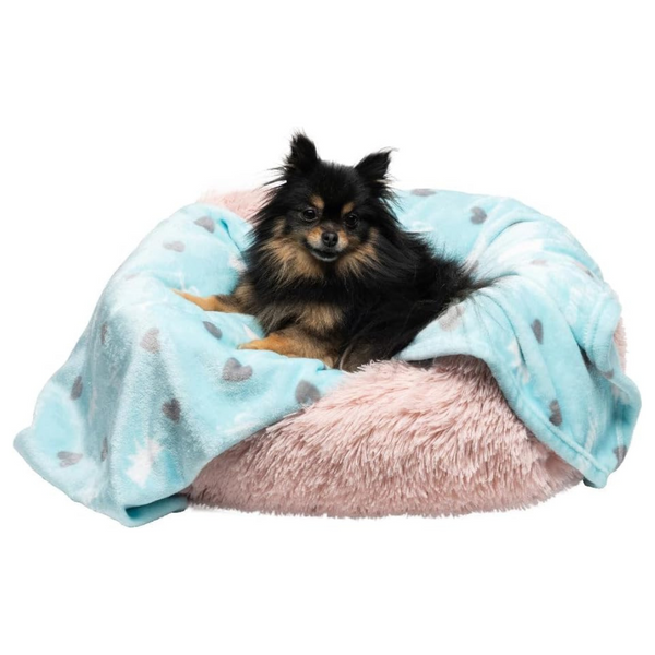 Juicy Couture Turquoise Blue Dog Blanket