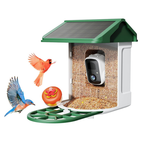 Bird Feeder Camera With Smart AI identifies Bird Species