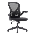 Techni Mobili Mesh Task Office Chair